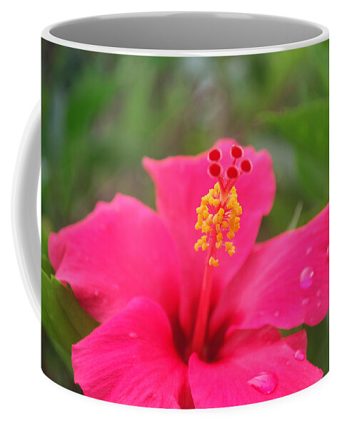Garden Coffee Mug featuring the photograph Garden Rains by Miguel Winterpacht