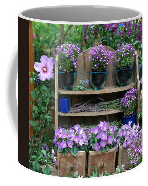 Plant Coffee Mug featuring the photograph Garden Still-life With Purple Flowers by Hans Reinhard
