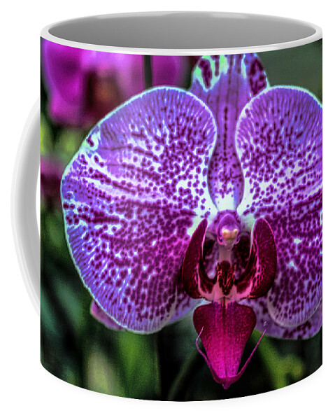 Flower Coffee Mug featuring the photograph Exotic Orchid 24 by Carlos Diaz