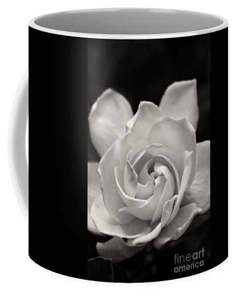 Gardenia Coffee Mug featuring the photograph Gardenia Bloom in Sepia by Jill Lang