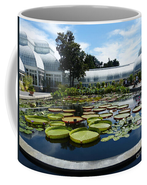Garden Coffee Mug featuring the photograph Lily Pond @ New York Botanical Gardens by Marguerita Tan