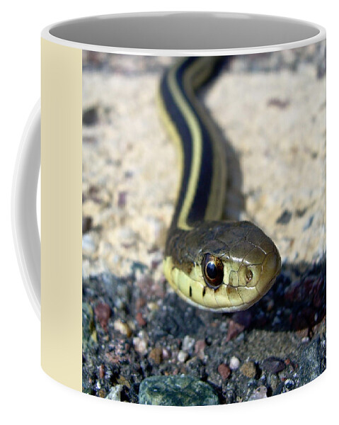 Snake Coffee Mug featuring the photograph Garter Snake by Kent Lorentzen