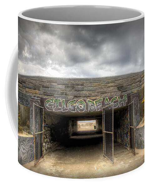Gilgo Beach Coffee Mug featuring the photograph Gates to Euphoria by Steve Gravano