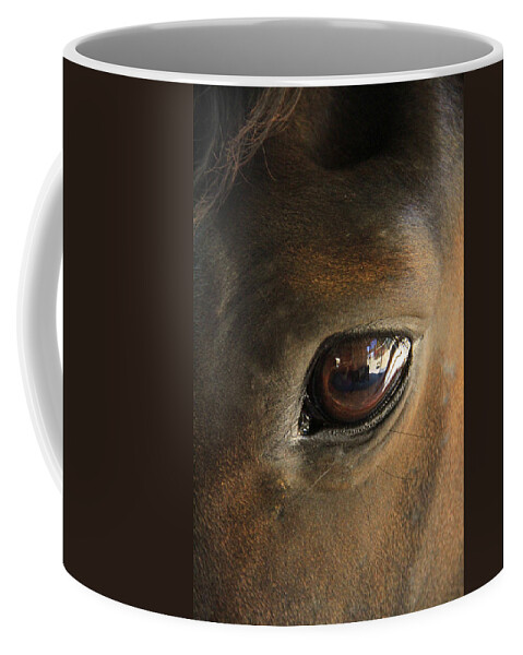 Horse Coffee Mug featuring the photograph Gateway to a horses soul by Shoal Hollingsworth