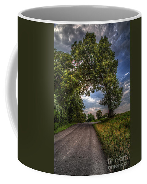2014 Coffee Mug featuring the photograph Gateway to Heaven by Larry Braun