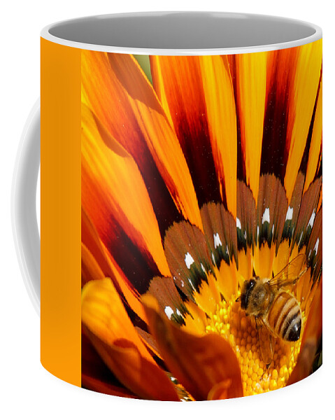 Gazanias Coffee Mug featuring the photograph Gazania Pollination by Ernest Echols