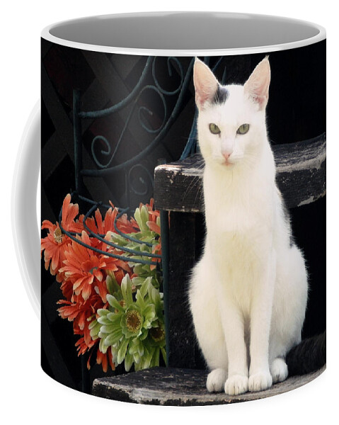 Cat Coffee Mug featuring the photograph Gaze by Zinvolle Art