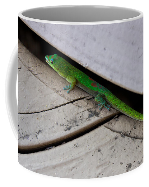 Gecko Coffee Mug featuring the photograph Gecko Dressed in Green by Christie Kowalski