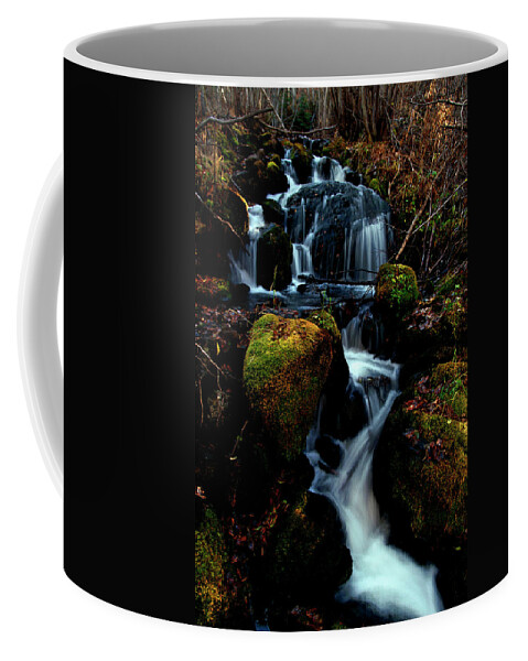 Stream Coffee Mug featuring the photograph Gentle Descent by Jeremy Rhoades