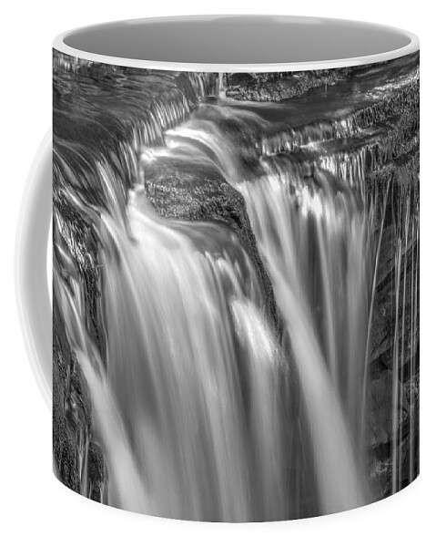 Ricketts Glen Coffee Mug featuring the photograph Gentle Falls in BW by Paul W Faust - Impressions of Light