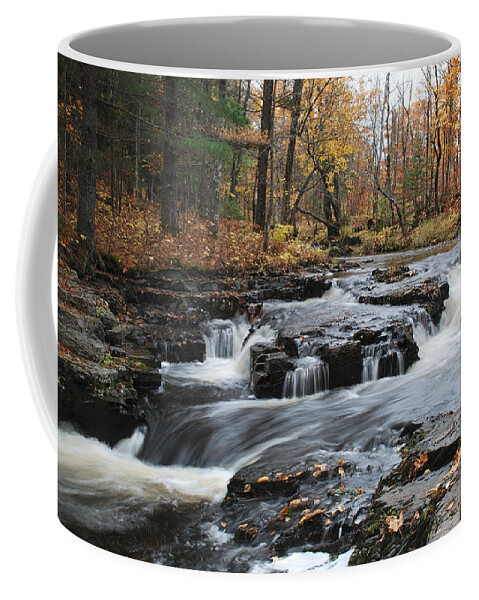 Slate River Coffee Mug featuring the photograph Gently Falling Downstream by Janice Adomeit