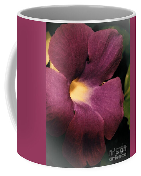 Flower Coffee Mug featuring the photograph Ghana Violet by Jamie Johnson