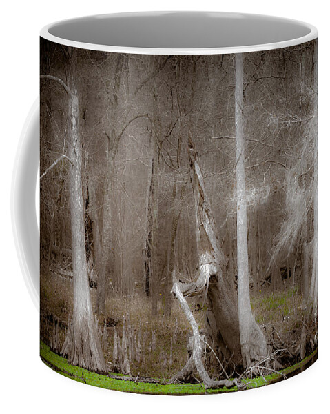 Craggy Coffee Mug featuring the photograph Ghost Trees by Jo Ann Tomaselli