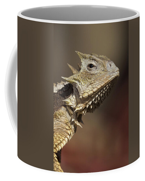 Feb0514 Coffee Mug featuring the photograph Giant Horned Lizard by San Diego Zoo