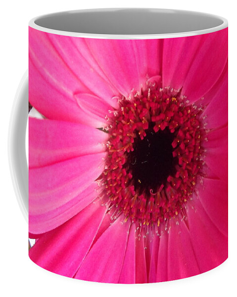 Flowers Coffee Mug featuring the photograph Flower Photography - Giant Pink Gerbera Daisy by Miriam Danar