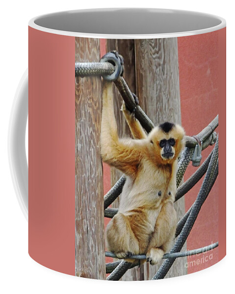 Ape Coffee Mug featuring the photograph Gibbon Girl by Lizi Beard-Ward