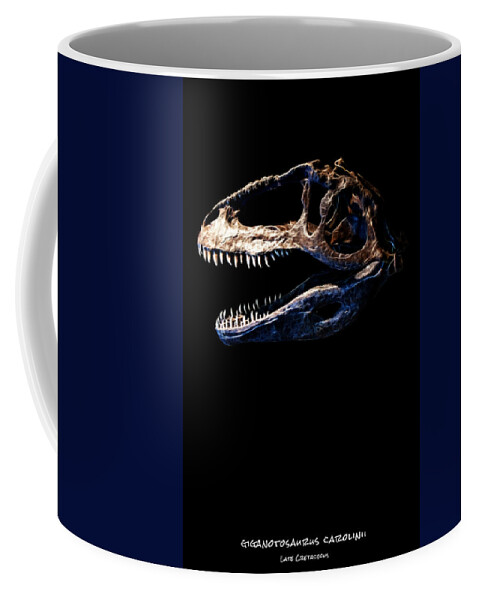 Giganotosaurus Carolinii Skull Coffee Mug featuring the photograph Giganotosaurus Skull 2 by Weston Westmoreland