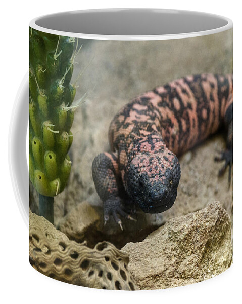 Nature Coffee Mug featuring the photograph Gila Monster by Mark Newman