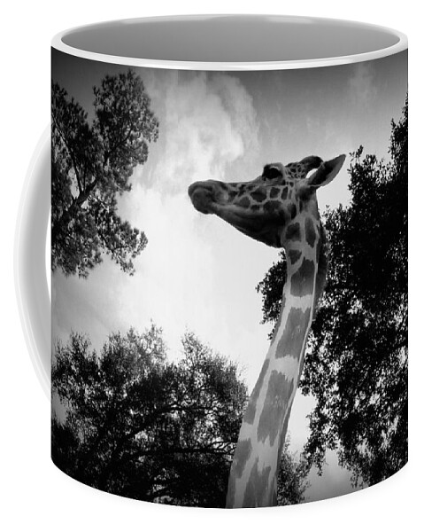 Giraffe Coffee Mug featuring the photograph Giraffe bw - Global Wildlife Center by Beth Vincent