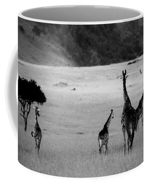 Giraffe Coffee Mug featuring the photograph Giraffe in Black and White by Sebastian Musial