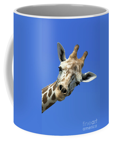 Africa Coffee Mug featuring the photograph Giraffe by John Greim
