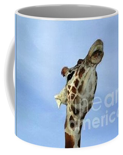 Kiss Coffee Mug featuring the photograph Giraffe Kiss by Tap On Photo