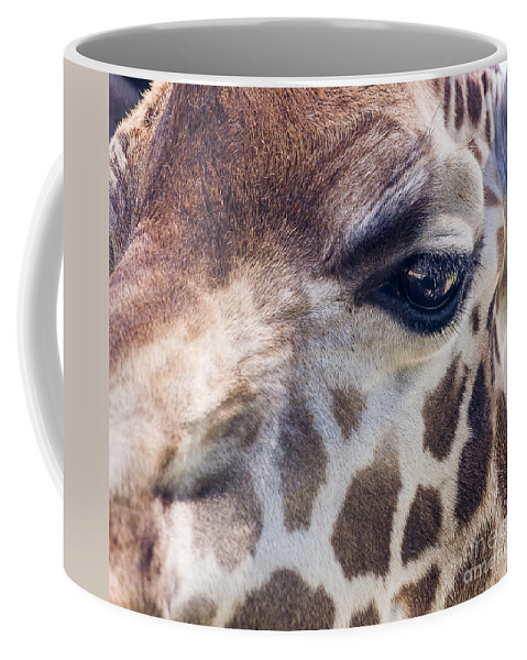 Nimals Coffee Mug featuring the photograph Giraffe by Steven Ralser