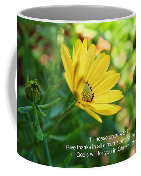 Flower Coffee Mug featuring the photograph Give thanks by Lynn Hopwood