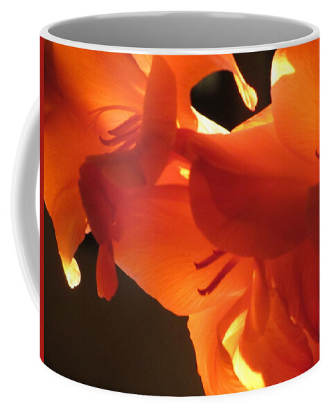 Flower Coffee Mug featuring the photograph Gladiola Close Up 3 by Anita Burgermeister