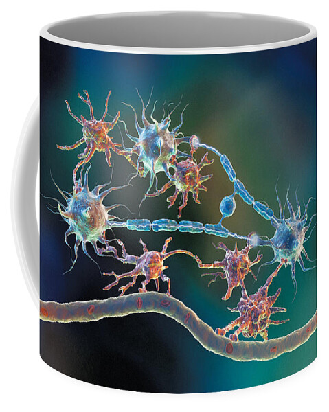 Glia Coffee Mug featuring the photograph Glia and Neurons by Hybrid Medical Animation