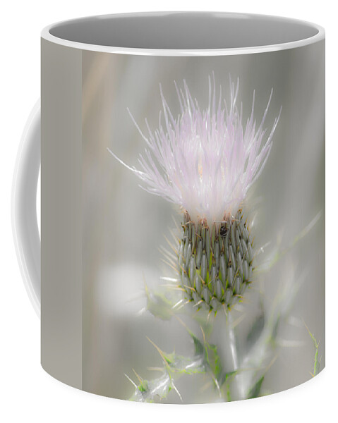 Glimmering Thistle Coffee Mug featuring the photograph Glimmering Thistle by Debra Martz