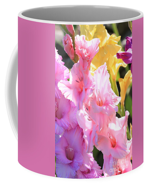 Gladiolus Coffee Mug featuring the photograph Glorious Summer Gladiolus by Carol Groenen