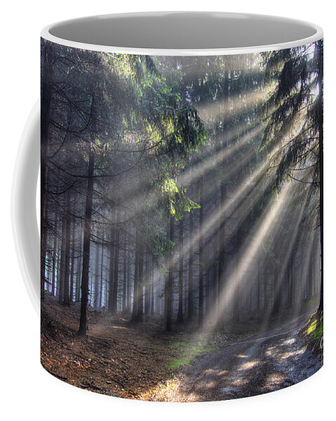 Forest Coffee Mug featuring the photograph God beams - coniferous forest in fog by Michal Boubin
