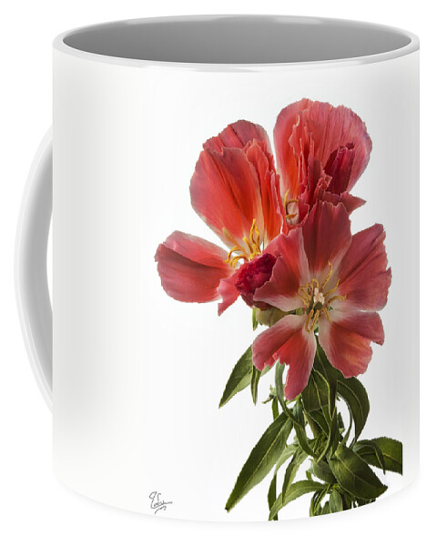 Flower Coffee Mug featuring the photograph Godacia by Endre Balogh