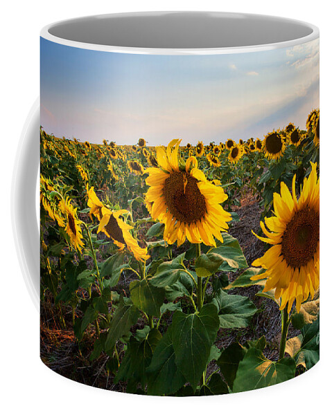 Flowers Coffee Mug featuring the photograph Gold Medals by Jim Garrison