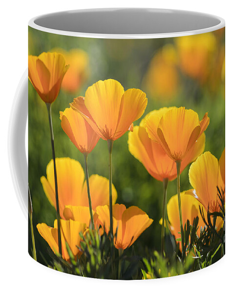 Poppies Coffee Mug featuring the photograph Gold Poppies by Tamara Becker