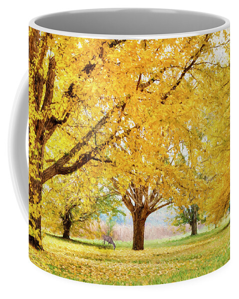 Deer Coffee Mug featuring the photograph Golden Autumn by Darren Fisher