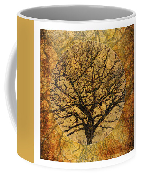 Autumnal Coffee Mug featuring the photograph Golden Autumnal Trees by Lenny Carter