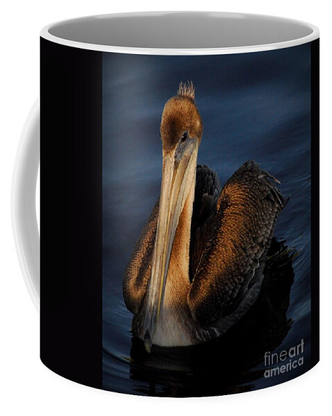 Pelican Coffee Mug featuring the photograph Golden Beauty by Quinn Sedam