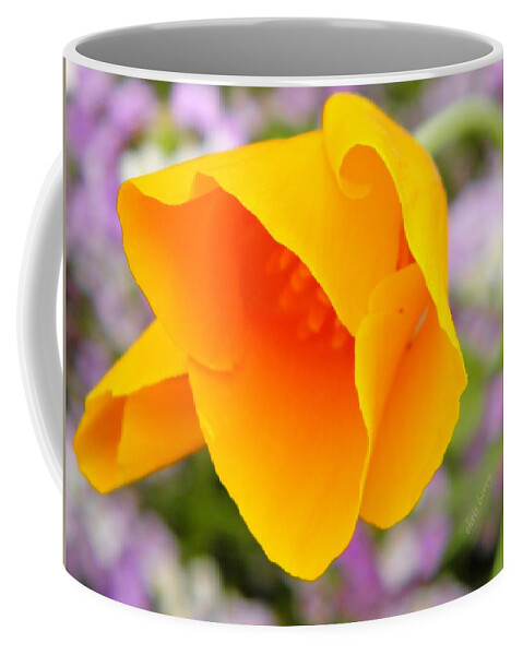Eschscholzia Coffee Mug featuring the photograph Golden California Poppy by Chris Berry