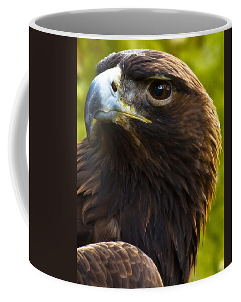 Golden Eagle Coffee Mug featuring the photograph Golden Eagle by Robert L Jackson