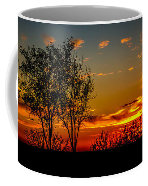 Sunset Coffee Mug featuring the photograph Golden Evening by Robert Bales