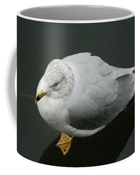 Golden Eye View Coffee Mug featuring the photograph Golden Eye View by Emmy Vickers
