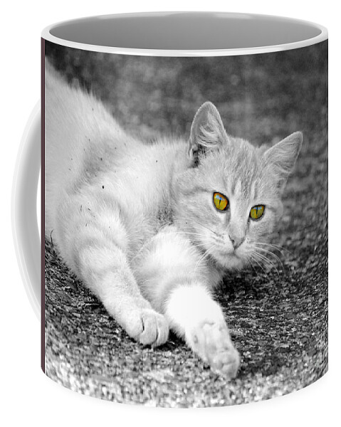 Cat Coffee Mug featuring the photograph Golden Eyes by Jai Johnson
