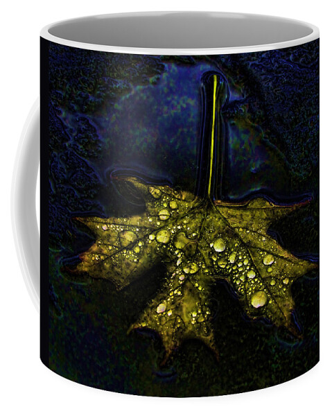 Leaves Coffee Mug featuring the photograph Golden Glow by John Freidenberg