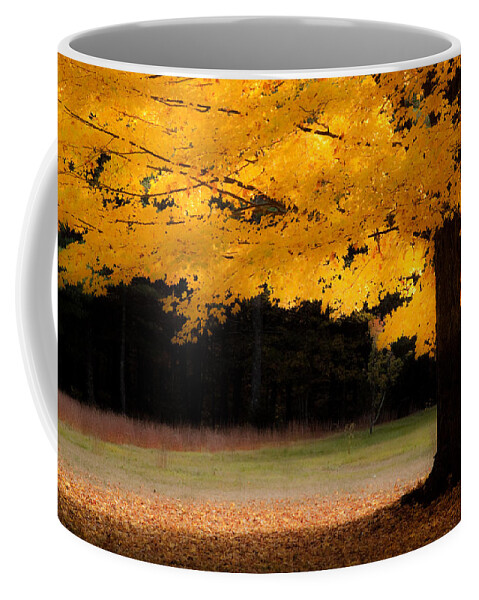 autumn Foliage New England Coffee Mug featuring the photograph Golden glow of autumn fall colors by Jeff Folger