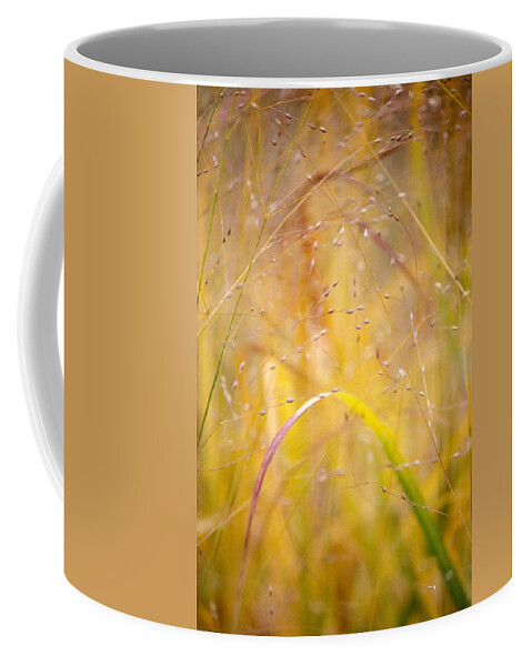 Autumn Coffee Mug featuring the photograph Golden Grass by Matthew Pace