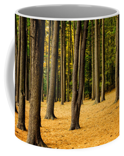Gold Coffee Mug featuring the photograph Golden Hues of Autumn in the Pines by Donna Doherty