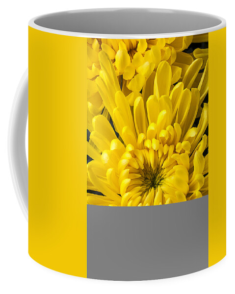 Yellow Spider Coffee Mug featuring the photograph Golden Mum by Garry Gay