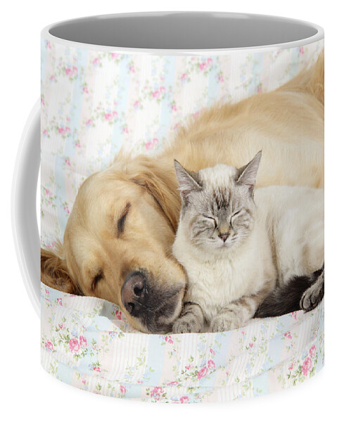 Dog Coffee Mug featuring the photograph Golden Retriever And Cat by John Daniels